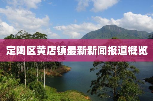 定陶區(qū)黃店鎮(zhèn)最新新聞報道概覽