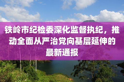鐵嶺市紀(jì)檢委深化監(jiān)督執(zhí)紀(jì)，推動(dòng)全面從嚴(yán)治黨向基層延伸的最新通報(bào)