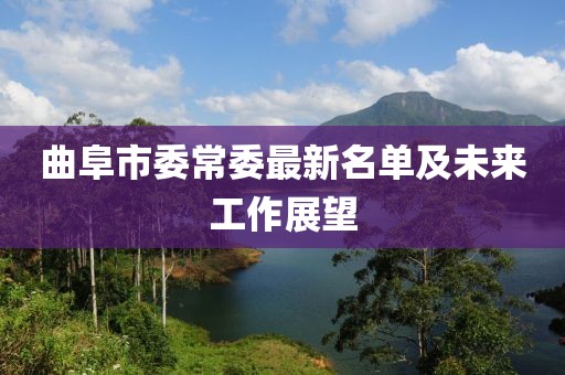 曲阜市委常委最新名單及未來工作展望
