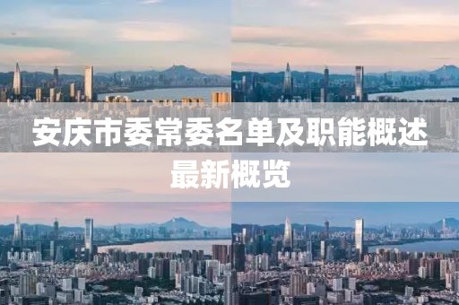 安慶市委常委名單及職能概述最新概覽