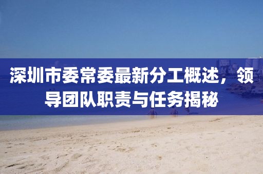深圳市委常委最新分工概述，領(lǐng)導(dǎo)團(tuán)隊(duì)職責(zé)與任務(wù)揭秘