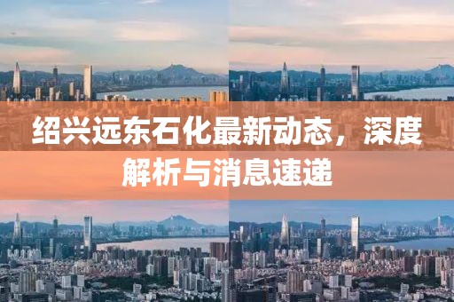 紹興遠(yuǎn)東石化最新動態(tài)，深度解析與消息速遞