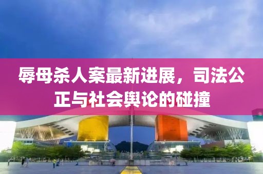 辱母殺人案最新進(jìn)展，司法公正與社會(huì)輿論的碰撞