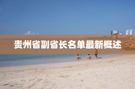 貴州省副省長名單最新概述