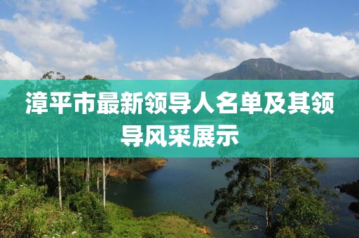 漳平市最新領導人名單及其領導風采展示