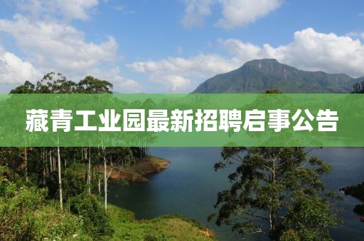 藏青工業(yè)園最新招聘啟事公告