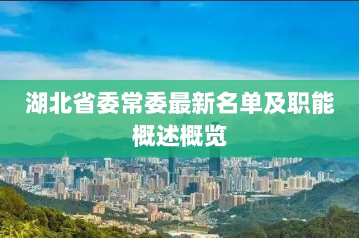 湖北省委常委最新名單及職能概述概覽