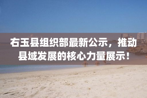 右玉縣組織部最新公示，推動(dòng)縣域發(fā)展的核心力量展示！