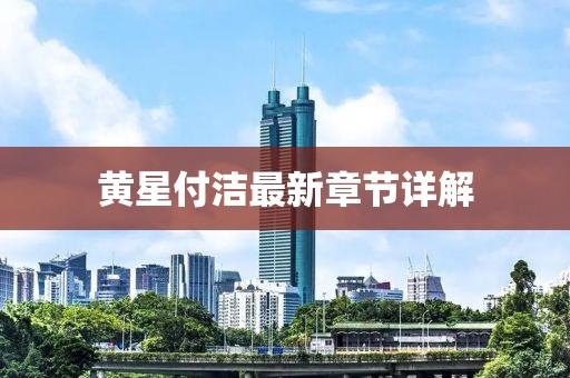 黃星付潔最新章節(jié)詳解