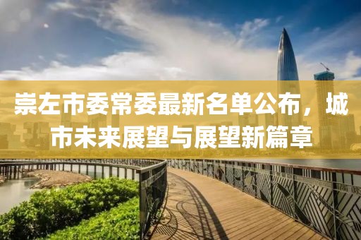 崇左市委常委最新名單公布，城市未來展望與展望新篇章