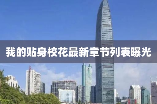 我的貼身校花最新章節(jié)列表曝光