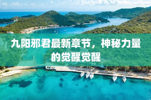 九陽邪君最新章節(jié)，神秘力量的覺醒覺醒