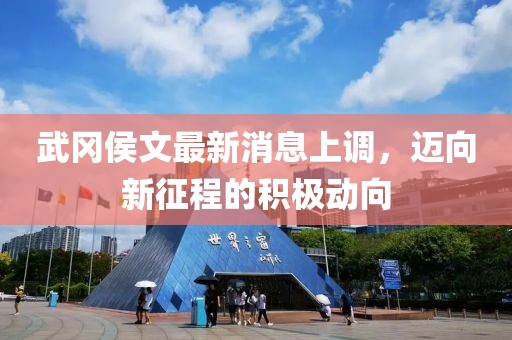 武岡侯文最新消息上調(diào)，邁向新征程的積極動(dòng)向