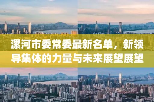 漯河市委常委最新名單，新領(lǐng)導(dǎo)集體的力量與未來展望展望