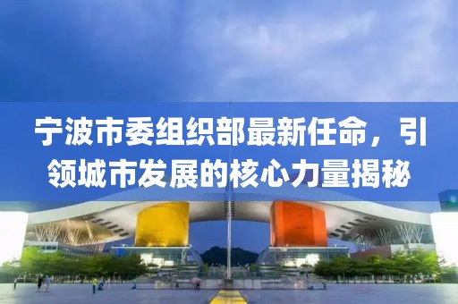 寧波市委組織部最新任命，引領(lǐng)城市發(fā)展的核心力量揭秘