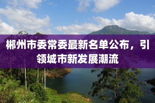 郴州市委常委最新名單公布，引領(lǐng)城市新發(fā)展潮流