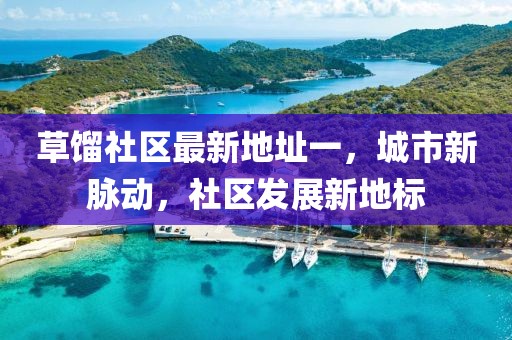 草餾社區(qū)最新地址一，城市新脈動，社區(qū)發(fā)展新地標(biāo)