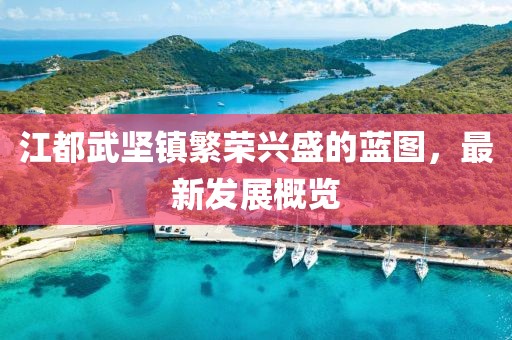江都武堅鎮(zhèn)繁榮興盛的藍(lán)圖，最新發(fā)展概覽
