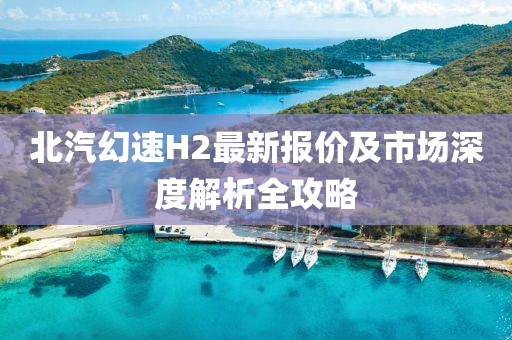 北汽幻速H2最新報價及市場深度解析全攻略