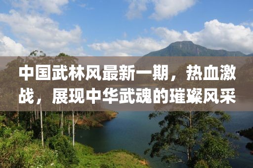 中國武林風(fēng)最新一期，熱血激戰(zhàn)，展現(xiàn)中華武魂的璀璨風(fēng)采
