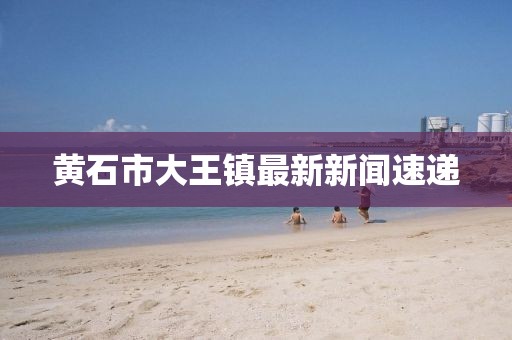 黃石市大王鎮(zhèn)最新新聞速遞