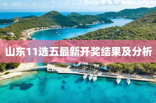 山東11選五最新開獎結(jié)果及分析