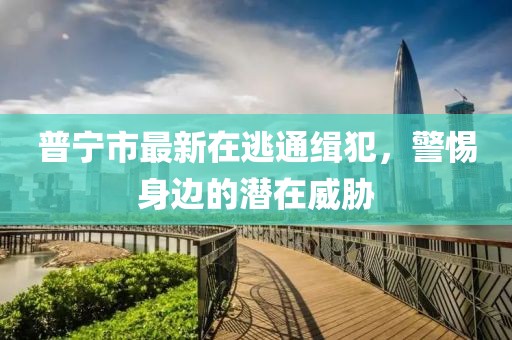 普寧市最新在逃通緝犯，警惕身邊的潛在威脅