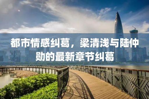 都市情感糾葛，梁清淺與陸仲勛的最新章節(jié)糾葛