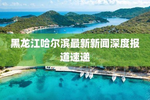 黑龍江哈爾濱最新新聞深度報(bào)道速遞