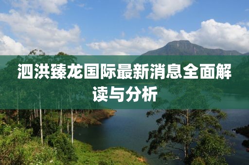 泗洪臻龍國(guó)際最新消息全面解讀與分析