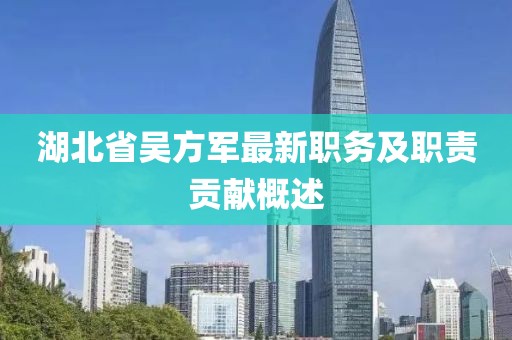 湖北省吳方軍最新職務(wù)及職責(zé)貢獻(xiàn)概述