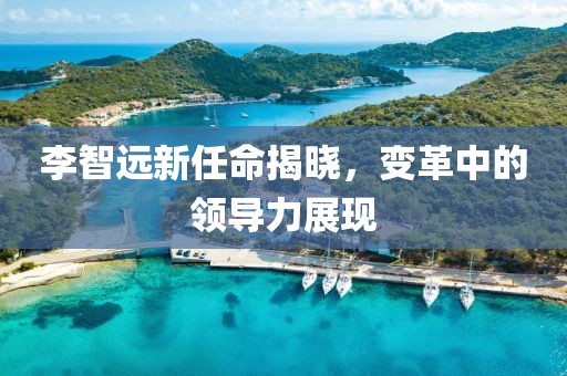 李智遠新任命揭曉，變革中的領導力展現(xiàn)