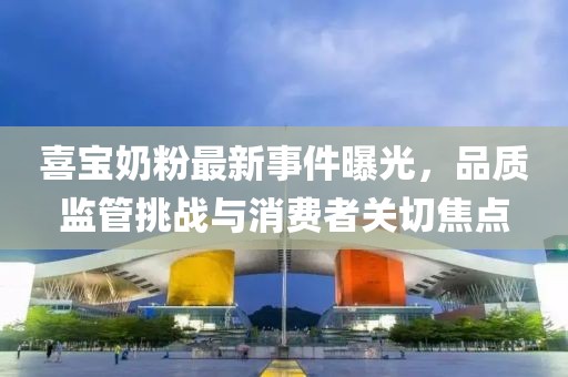 喜寶奶粉最新事件曝光，品質(zhì)監(jiān)管挑戰(zhàn)與消費(fèi)者關(guān)切焦點(diǎn)