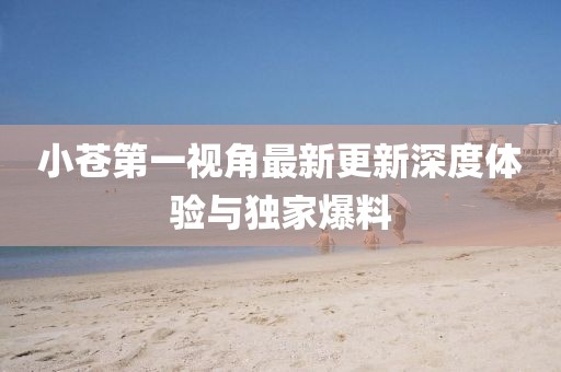 小蒼第一視角最新更新深度體驗與獨家爆料