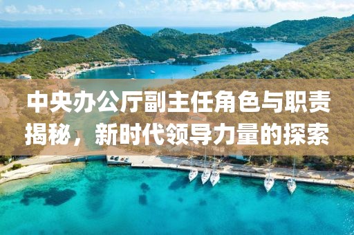 中央辦公廳副主任角色與職責揭秘，新時代領導力量的探索