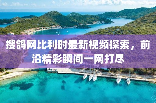 搜鴿網(wǎng)比利時最新視頻探索，前沿精彩瞬間一網(wǎng)打盡
