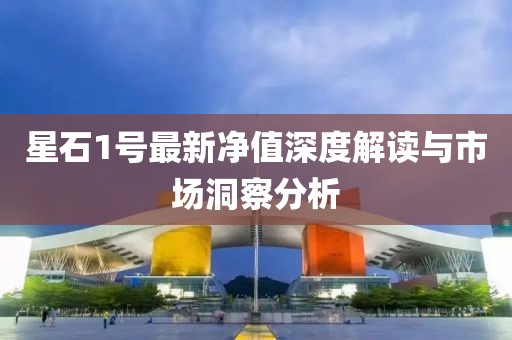星石1號最新凈值深度解讀與市場洞察分析