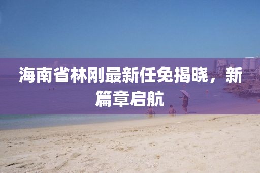 海南省林剛最新任免揭曉，新篇章啟航