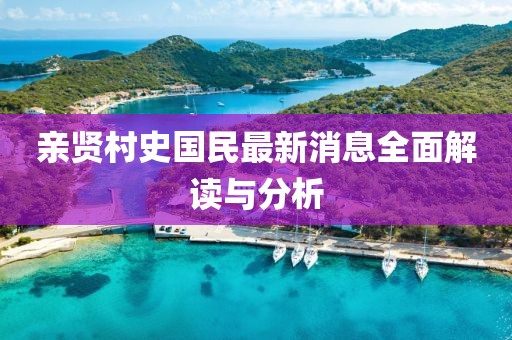 親賢村史國(guó)民最新消息全面解讀與分析