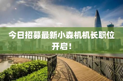 今日招募最新小森機(jī)機(jī)長職位開啟！
