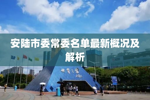 安陸市委常委名單最新概況及解析