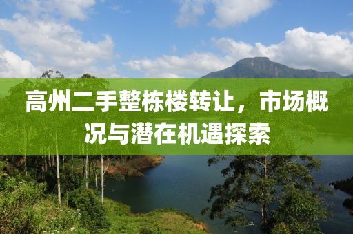 高州二手整棟樓轉(zhuǎn)讓，市場概況與潛在機遇探索