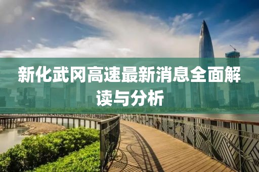 新化武岡高速最新消息全面解讀與分析