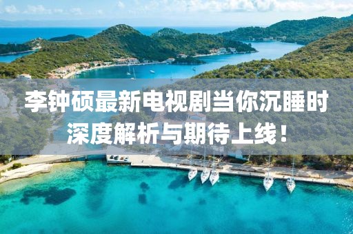 李鐘碩最新電視劇當(dāng)你沉睡時(shí)深度解析與期待上線！