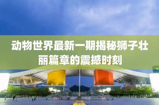 動(dòng)物世界最新一期揭秘獅子壯麗篇章的震撼時(shí)刻