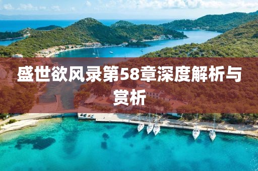 盛世欲風(fēng)錄第58章深度解析與賞析