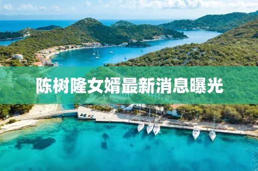 陳樹隆女婿最新消息曝光
