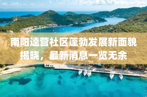 南陽逵營社區(qū)蓬勃發(fā)展新面貌揭曉，最新消息一覽無余