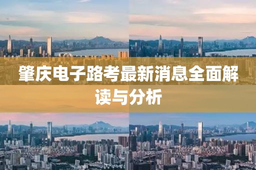 肇慶電子路考最新消息全面解讀與分析