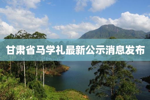甘肅省馬學(xué)禮最新公示消息發(fā)布